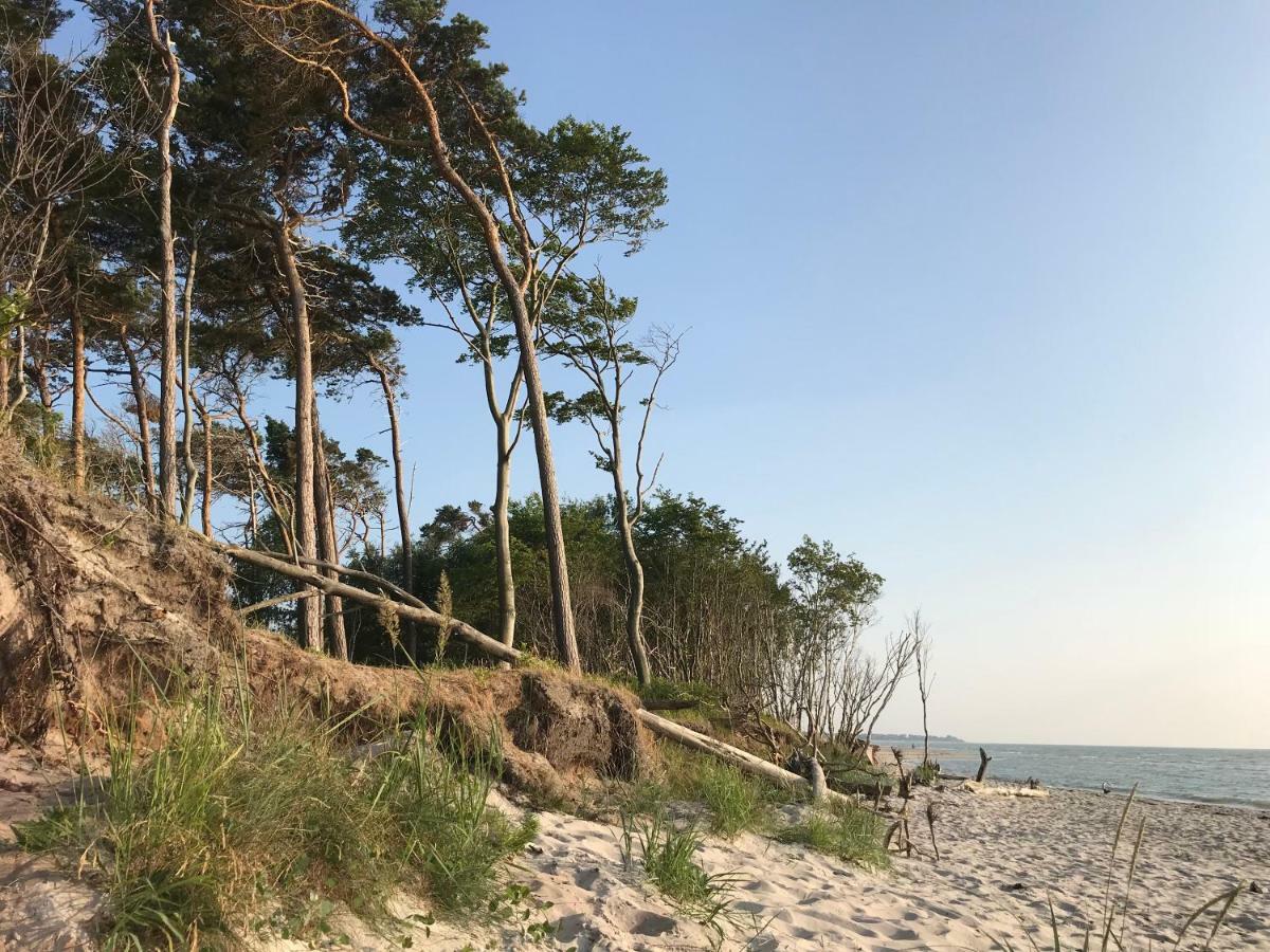 "Kontorhaus" By Ferienhaus Strandgut Born Eksteriør billede
